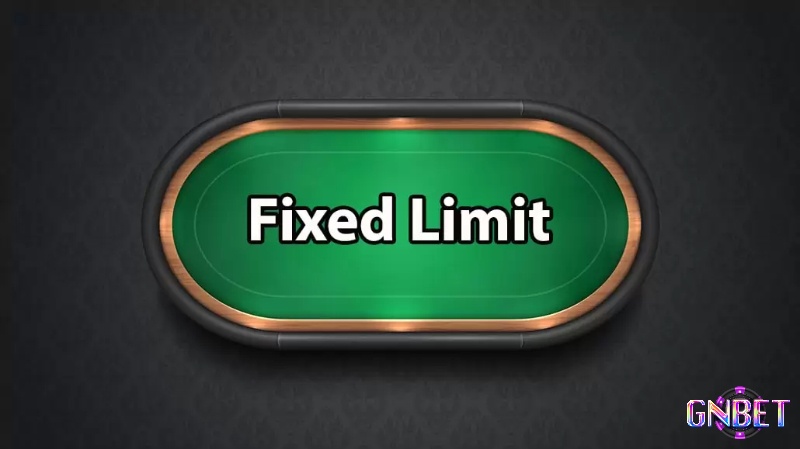 Fixed Limit - Hình thức cá cược phổ biến trong các dạng cược trong Poker