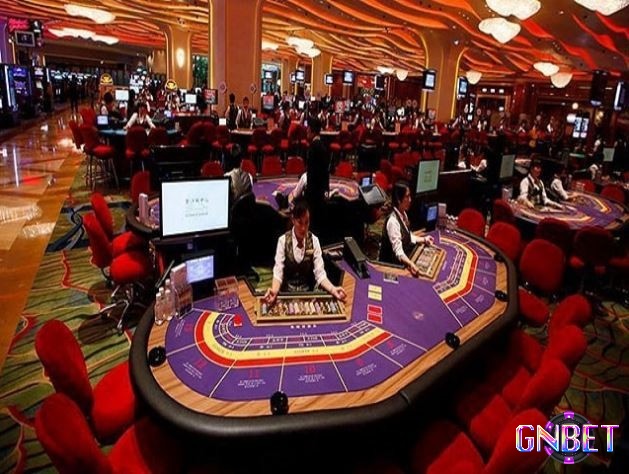 Các hoạt động casino không chỉ đem lại cơ hội kinh doanh mà còn thu hút một lượng lớn du khách