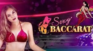Sexy baccarat - Thương hiệu cá cược uy tín hàng đầu châu Á