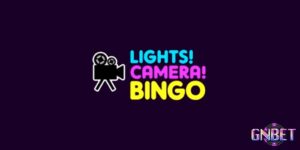 Lights camera bingo - Khám phá trò chơi bingo màu sắc hấp dẫn